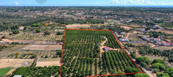 Grundstück in Quarteira, Portugal 42350m², Nr. 200734 5