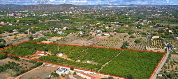 Grundstück in Quarteira, Portugal 42350m², Nr. 200734 3