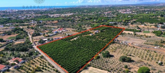 Grundstück in Quarteira, Portugal 42350m², Nr. 200734 15