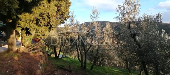 5 rooms House in Vinci, Italy No. 230279 4