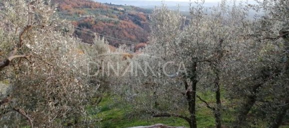 5 rooms House in Vinci, Italy No. 230279 17