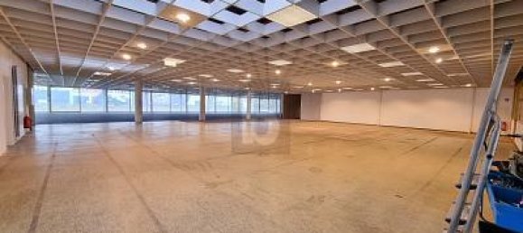 6 rooms Commercial property in Kleve, Germany No. 202650 2