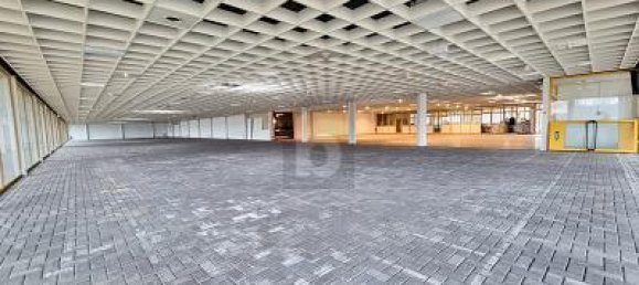 6 rooms Commercial property in Kleve, Germany No. 202650 3