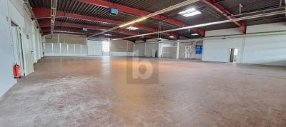6 rooms Commercial property in Kleve, Germany No. 202650 4