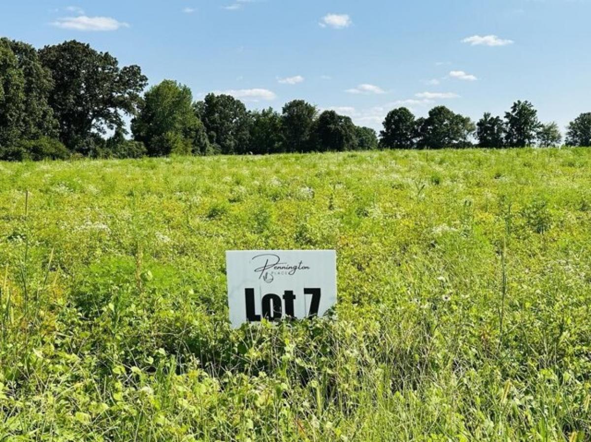 3 bedrooms House in Summertown, USA No. 407046