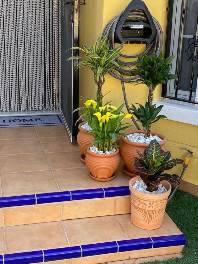 3 bedrooms Townhouse in Guardamar del Segura, Spain No. 263926