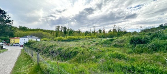 529m² Land in Leobendorf, Austria No. 166299 2