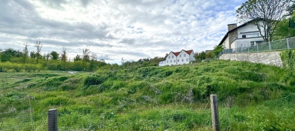 529m² Land in Leobendorf, Austria No. 166299 6