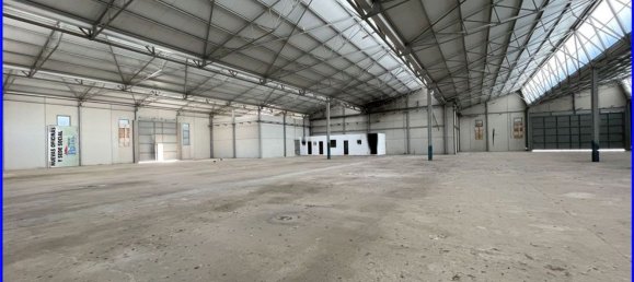 Armazém em Santomera, Spain 2646 m² N.º 124056 3