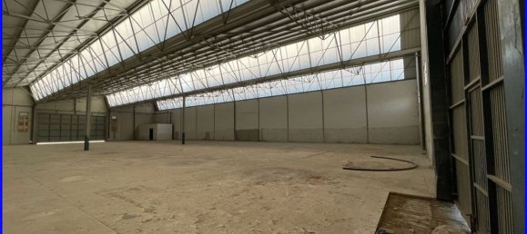 Armazém em Santomera, Spain 2646 m² N.º 124056 5