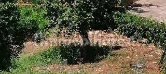 2 bedrooms Apartment in Syracuse, Italy No. 252280 2