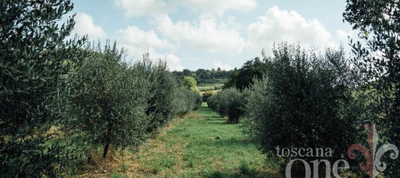 6 bedrooms House in Casciana Terme Lari, Italy No. 238606 14