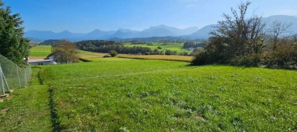 Земельный участок в Розегг, Австрия № 126912 2