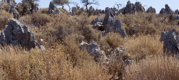 274615m² Hotel in Chania, Greece No. 8164 9