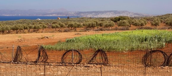 274615m² Hotel in Chania, Greece No. 8164 6