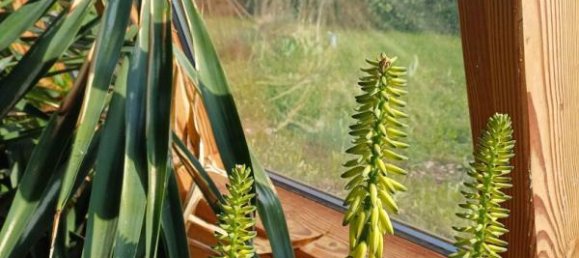 2 bedrooms House in Compiegne, France No. 209715 8