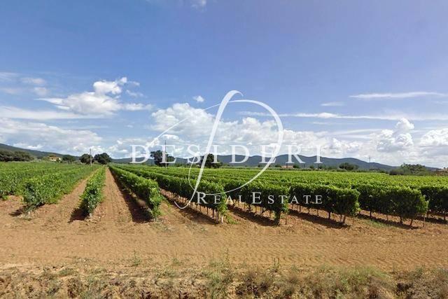 25000m² Land in Castiglione della Pescaia, Italy No. 122472