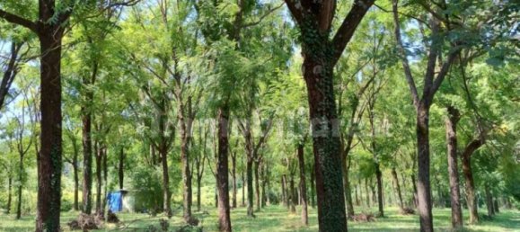 Villa de 5 habitaciónes en Isola del Liri, Italy No. 310486 12