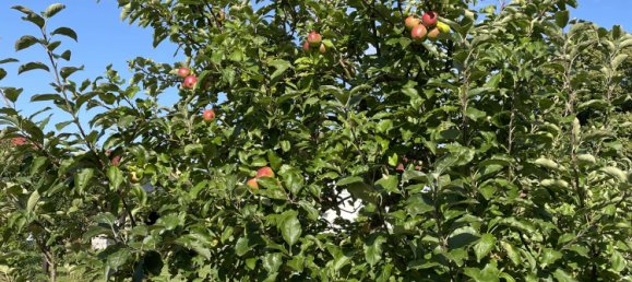 Terreno em Nordwestmecklenburg, Germany N.º 182975 6