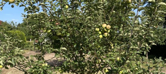 Terreno em Nordwestmecklenburg, Germany N.º 182975 7