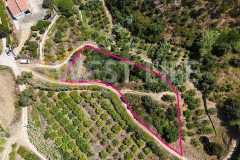 Terrain à Ericeira, Portugal 1687m² No. 305035