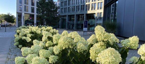 2 bedrooms Apartment in Charlottenburg, Germany No. 221970 20