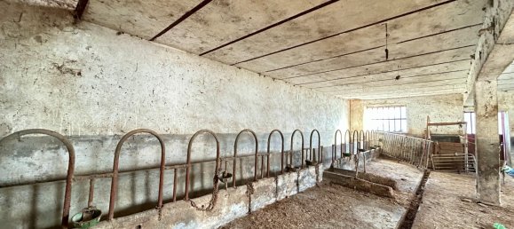 5-Zimmer Haus in Ponti, Italy, Nr. 144895 32