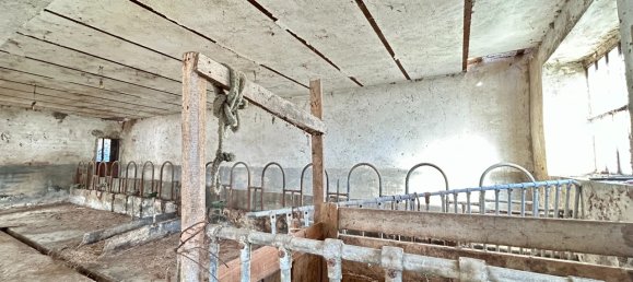 5-Zimmer Haus in Ponti, Italy, Nr. 144895 35