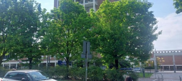 4 rooms House in Candelo, Italy No. 207033 4