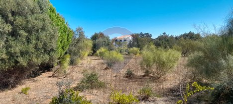 7200m² Land in Silves, Portugal No. 82825