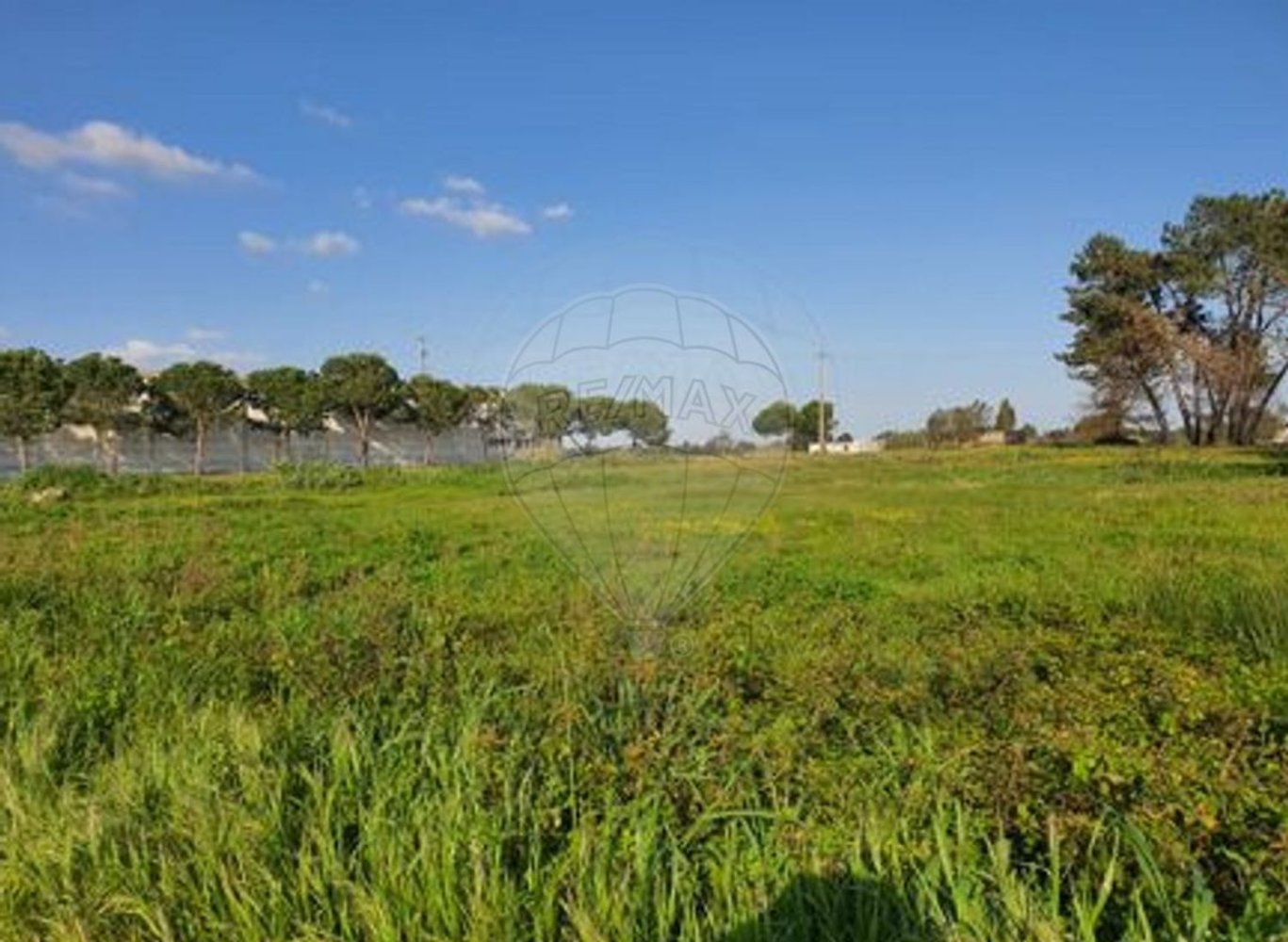Terreno em Aves, Portugal 8332 m² N.º 51611
