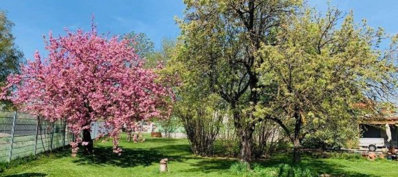 7-salle Maison à Mistelbach, Austria No. 219772 32