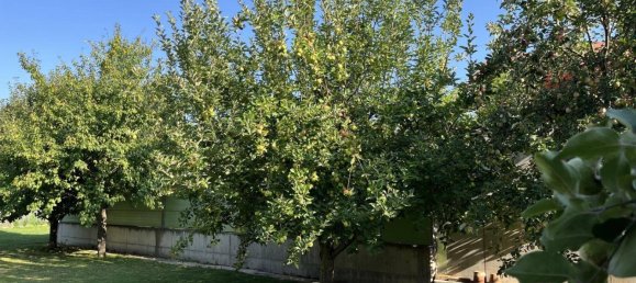 7-salle Maison à Mistelbach, Austria No. 219772 26