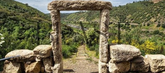 5 bedrooms Villa in Nisa, Portugal No. 251537 22