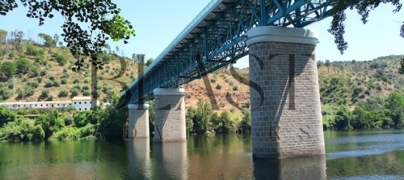 5 bedrooms Villa in Nisa, Portugal No. 251537 19