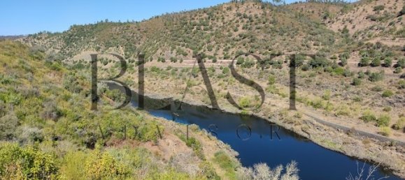 5 bedrooms Villa in Nisa, Portugal No. 251537 23