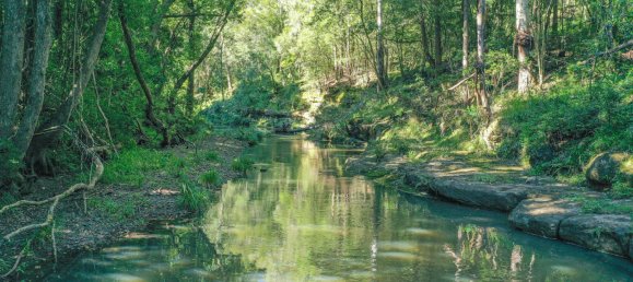 3 Schlafzimmer Haus in Cawongla, Australia, Nr. 1140 25