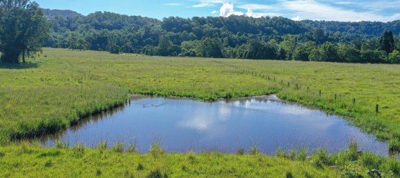 3 Schlafzimmer Haus in Cawongla, Australia, Nr. 1140 7