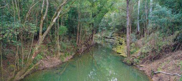 3 Schlafzimmer Haus in Cawongla, Australia, Nr. 1140 29
