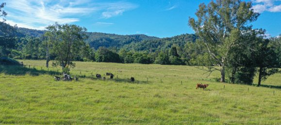 3 Schlafzimmer Haus in Cawongla, Australia, Nr. 1140 6