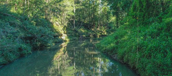 3 Schlafzimmer Haus in Cawongla, Australia, Nr. 1140 28