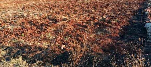 قطعة أرض في San Pietro in Lama, Italy 7600متر مربع رقم 293523 3