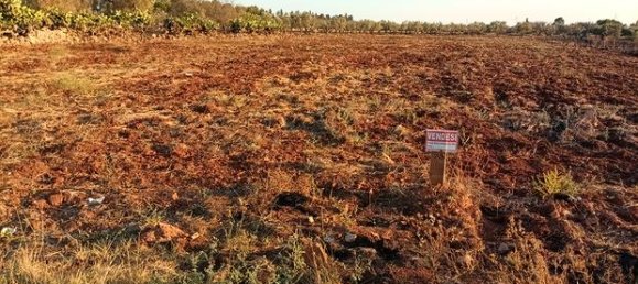 قطعة أرض في San Pietro in Lama, Italy 7600متر مربع رقم 293523 6