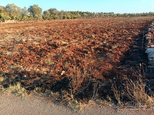  قطعة أرض في San Pietro in Lama, Italy 7600متر مربع رقم 293523