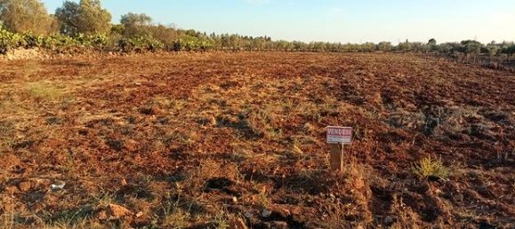 قطعة أرض في San Pietro in Lama, Italy 7600متر مربع رقم 293523 5