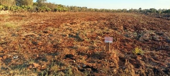 قطعة أرض في San Pietro in Lama, Italy 7600متر مربع رقم 293523 4