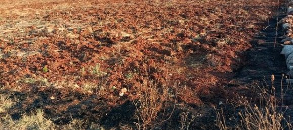 قطعة أرض في San Pietro in Lama, Italy 7600متر مربع رقم 293523 2