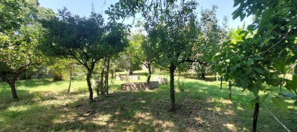 4غرفة شقة في Cicciano, Italy رقم 148207 5