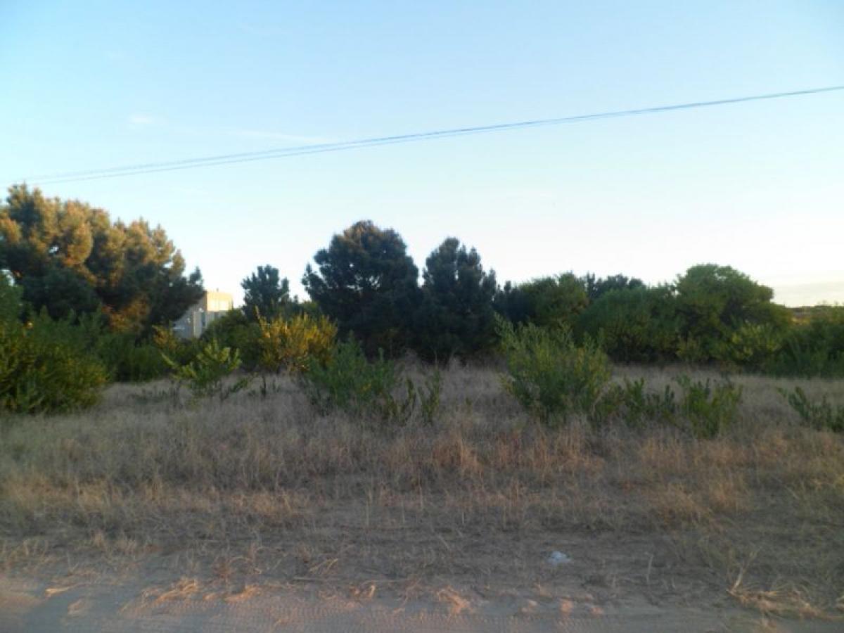  Land in Mar del Plata, Argentina No. 122182