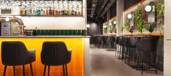 Gewerbliche Immobilie in Torrevieja, Spain 285m², Nr. 141092 3